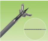 Gastrointestinal Marked Biopsy Forceps