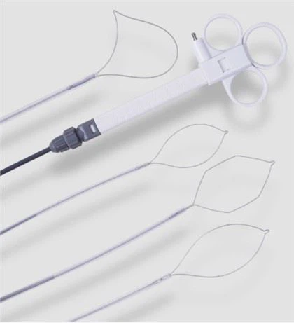 Endoscopic Disposable Hexagonal Snare